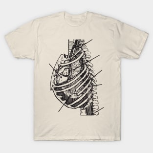 Ribs and organs T-Shirt